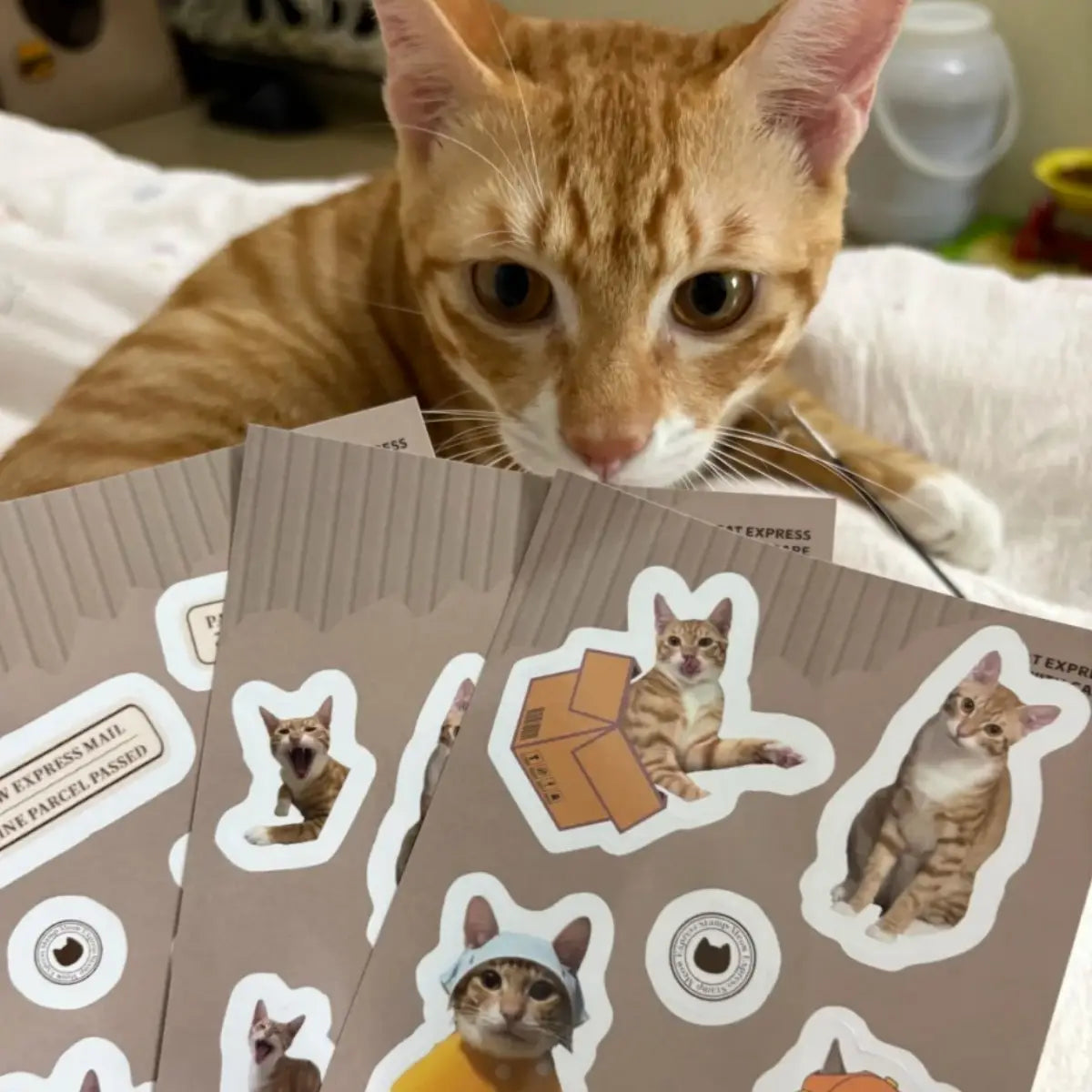 Custom Pet Portrait Stickers